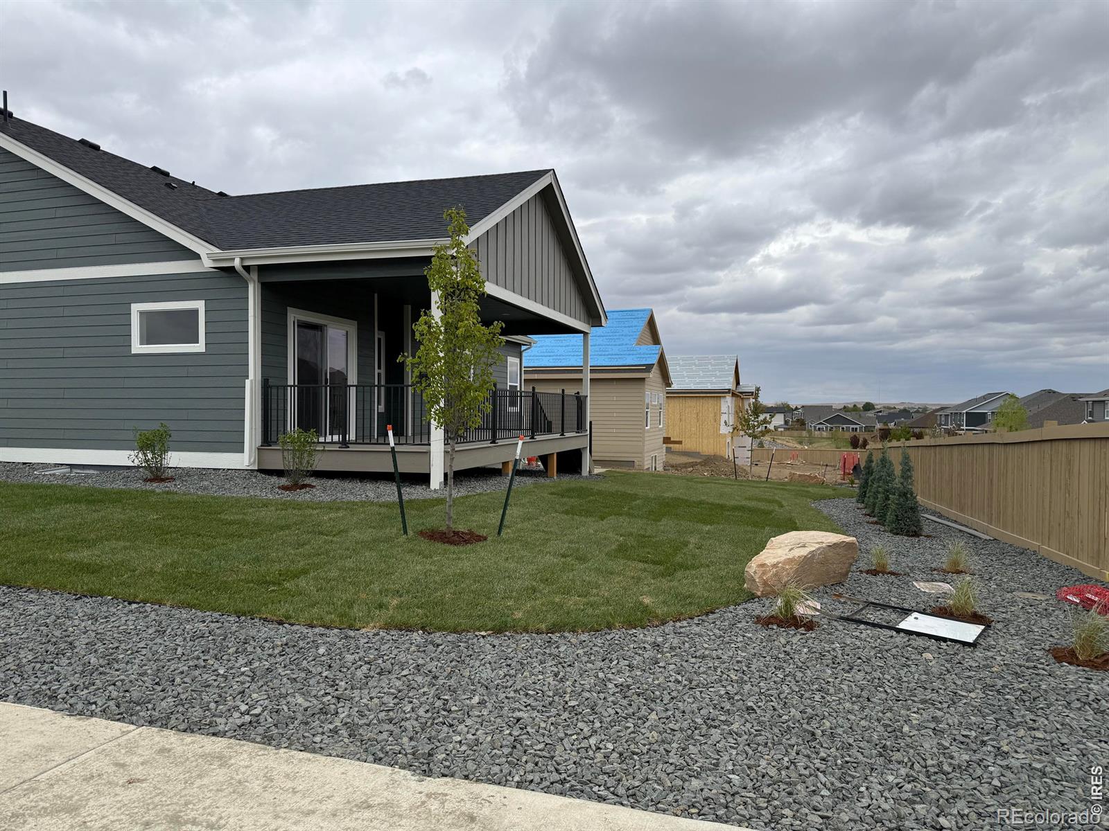 3163 Barley Grass Drive Wellington CO 80549