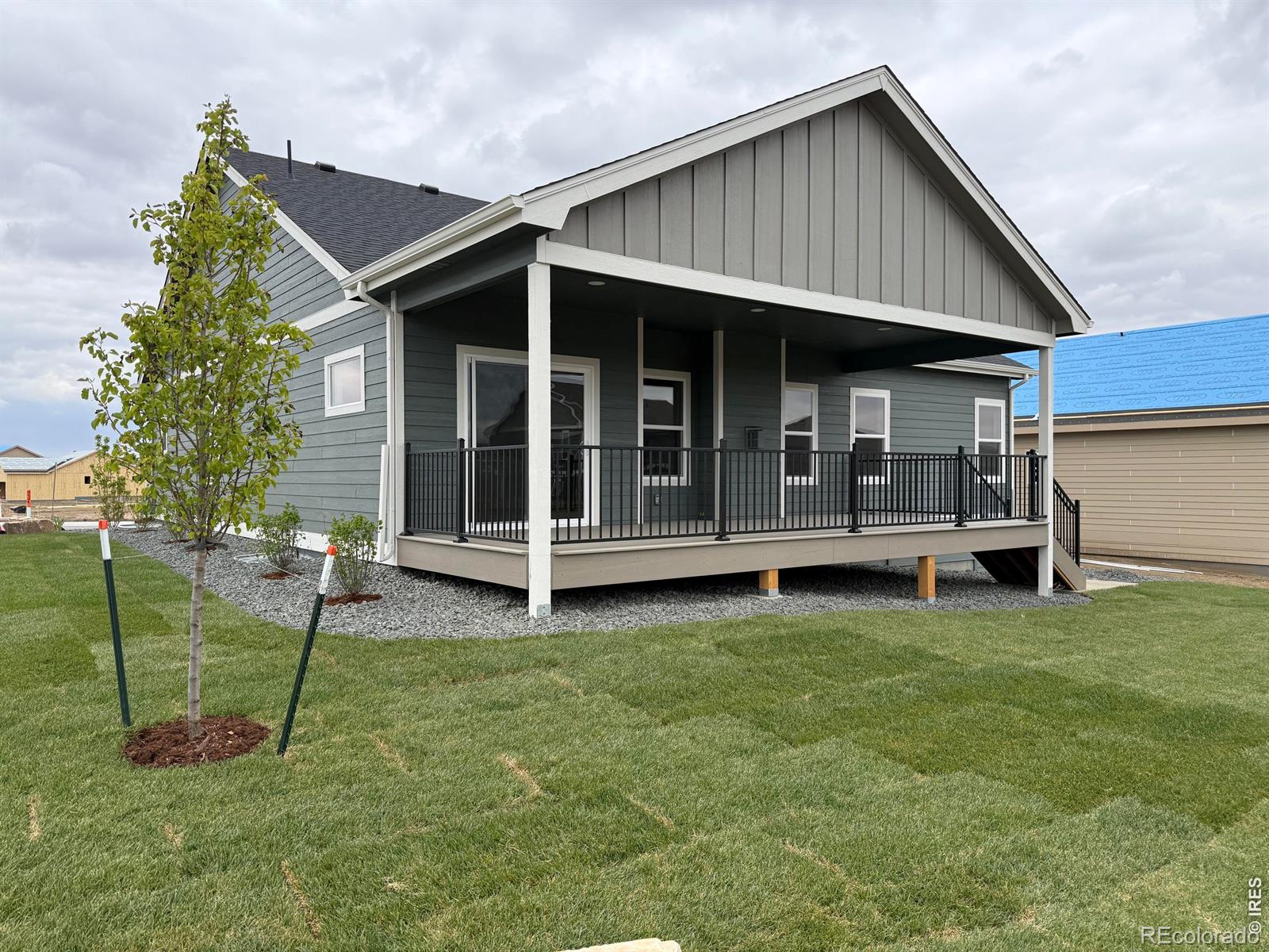 3163 Barley Grass Drive Wellington CO 80549