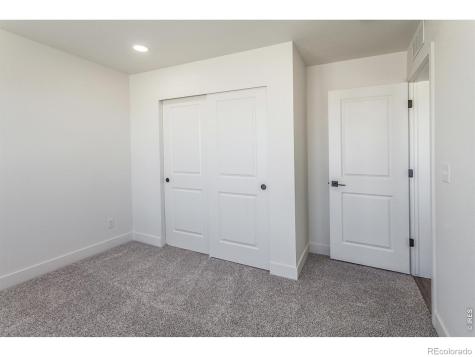 981 Trumpet Lane Windsor CO 80550