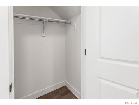 981 Trumpet Lane Windsor CO 80550