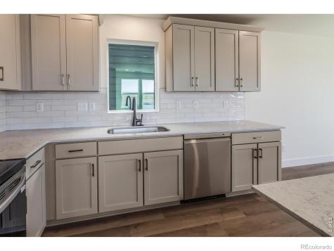 981 Trumpet Lane Windsor CO 80550