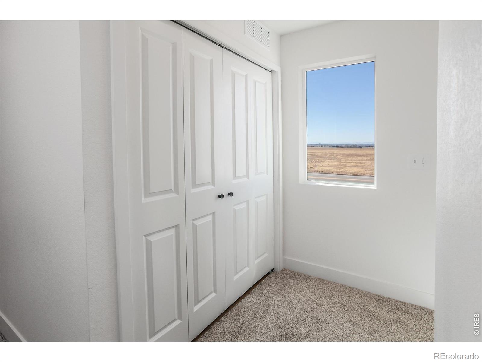 981 Trumpet Lane Windsor CO 80550