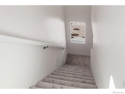 981 Trumpet Lane Windsor CO 80550