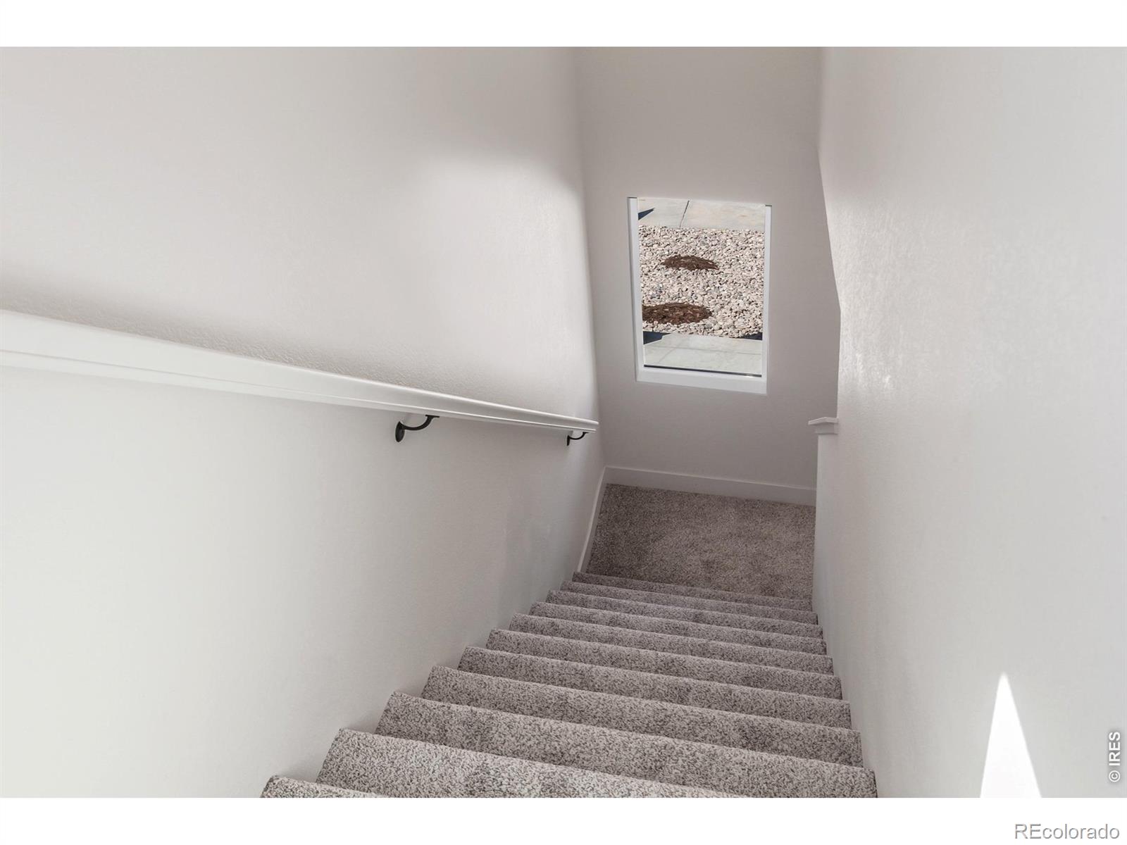 981 Trumpet Lane Windsor CO 80550