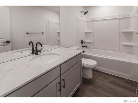 981 Trumpet Lane Windsor CO 80550