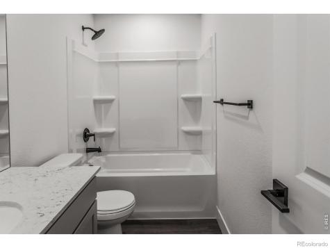 981 Trumpet Lane Windsor CO 80550