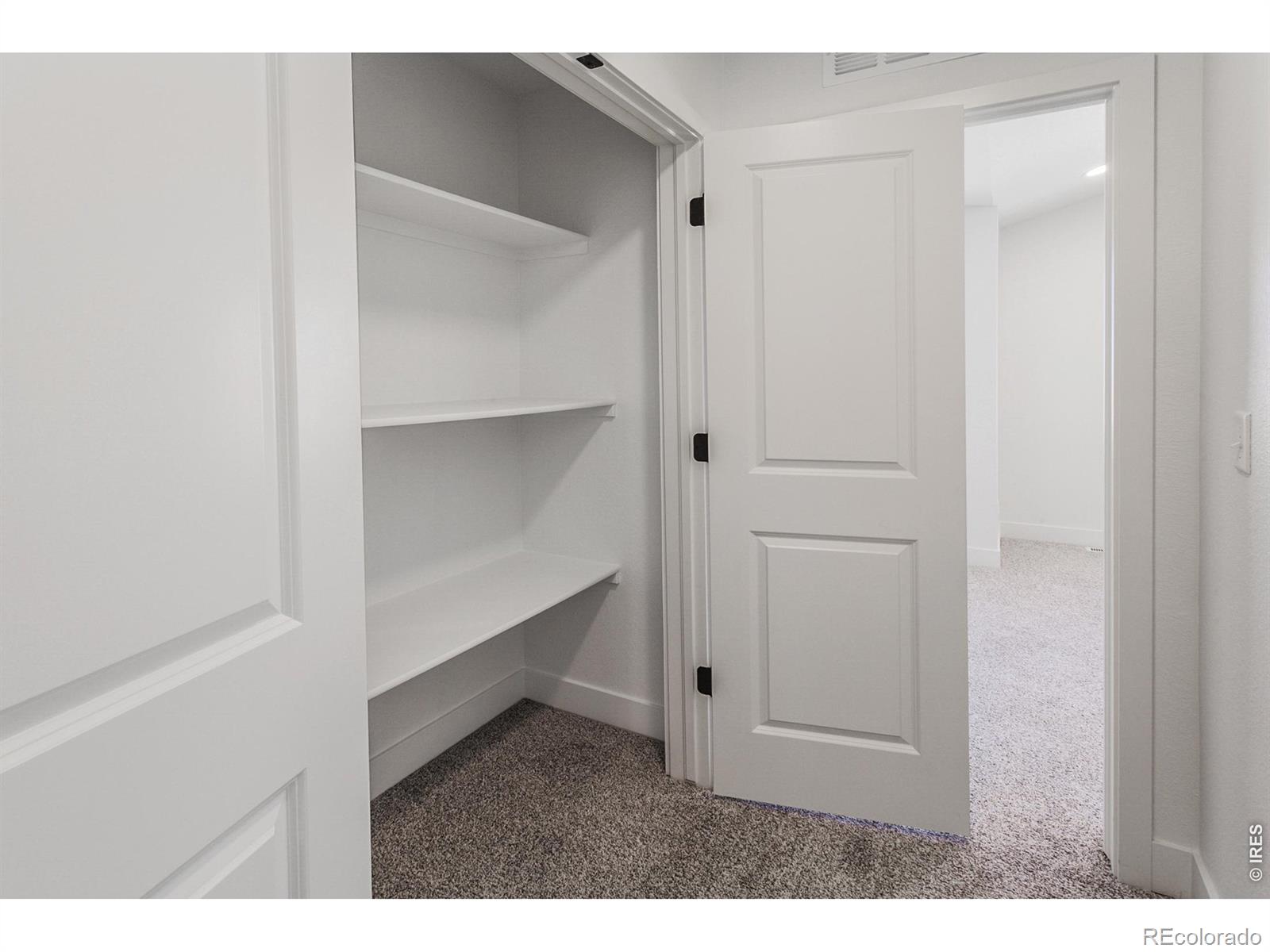 981 Trumpet Lane Windsor CO 80550