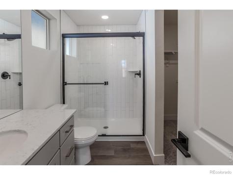 981 Trumpet Lane Windsor CO 80550
