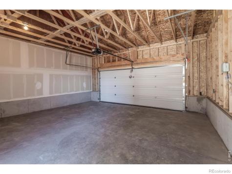 981 Trumpet Lane Windsor CO 80550
