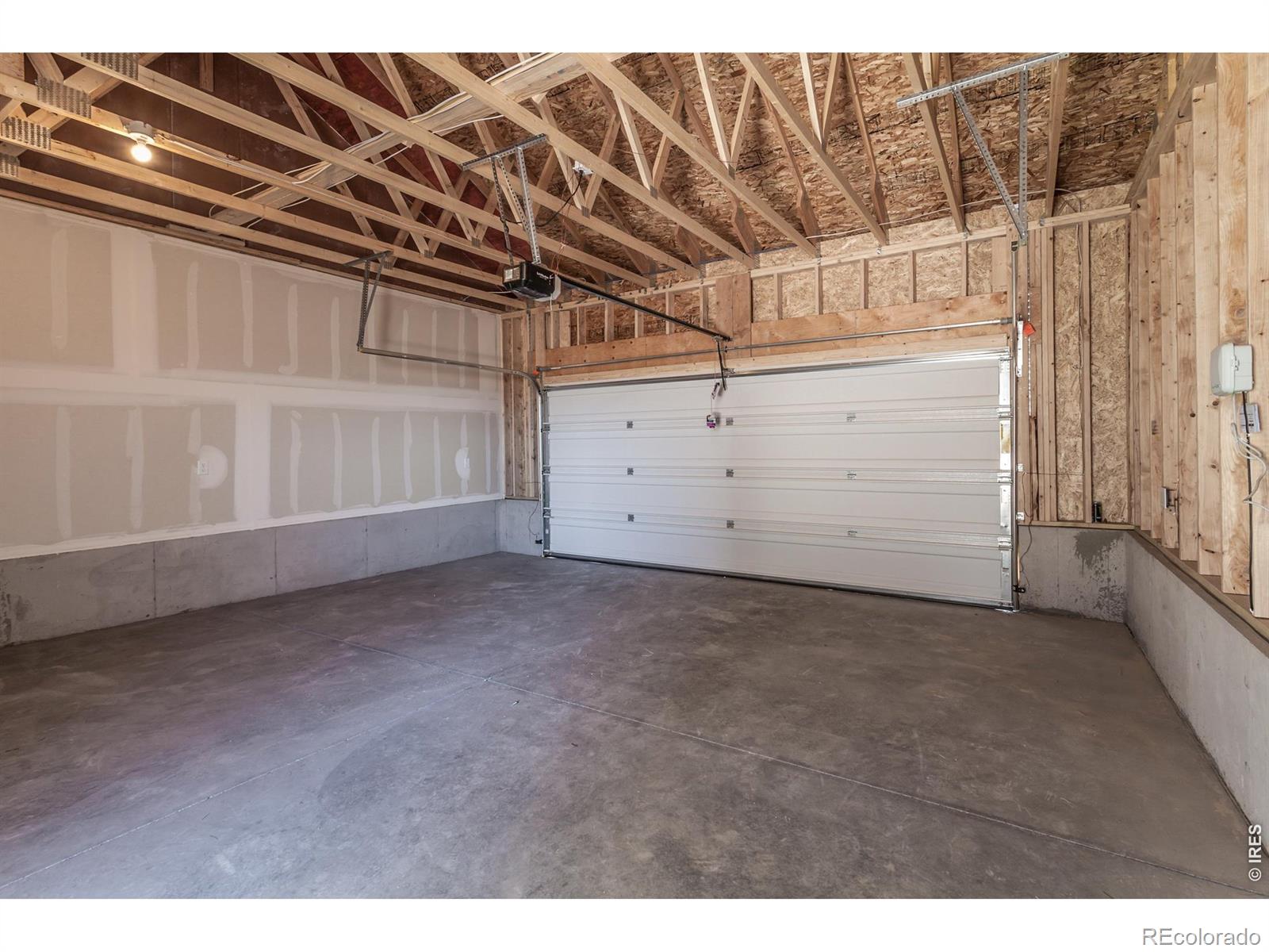 981 Trumpet Lane Windsor CO 80550