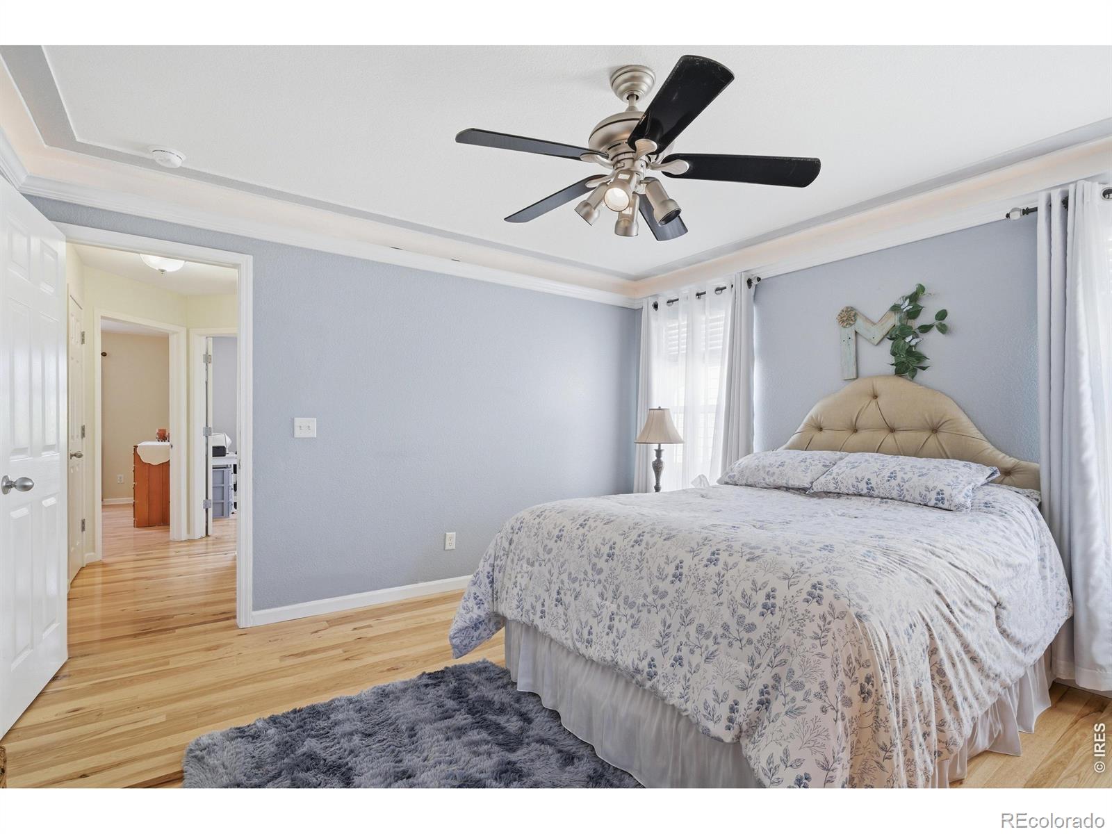 624 Foxtail Way Severance CO 80550
