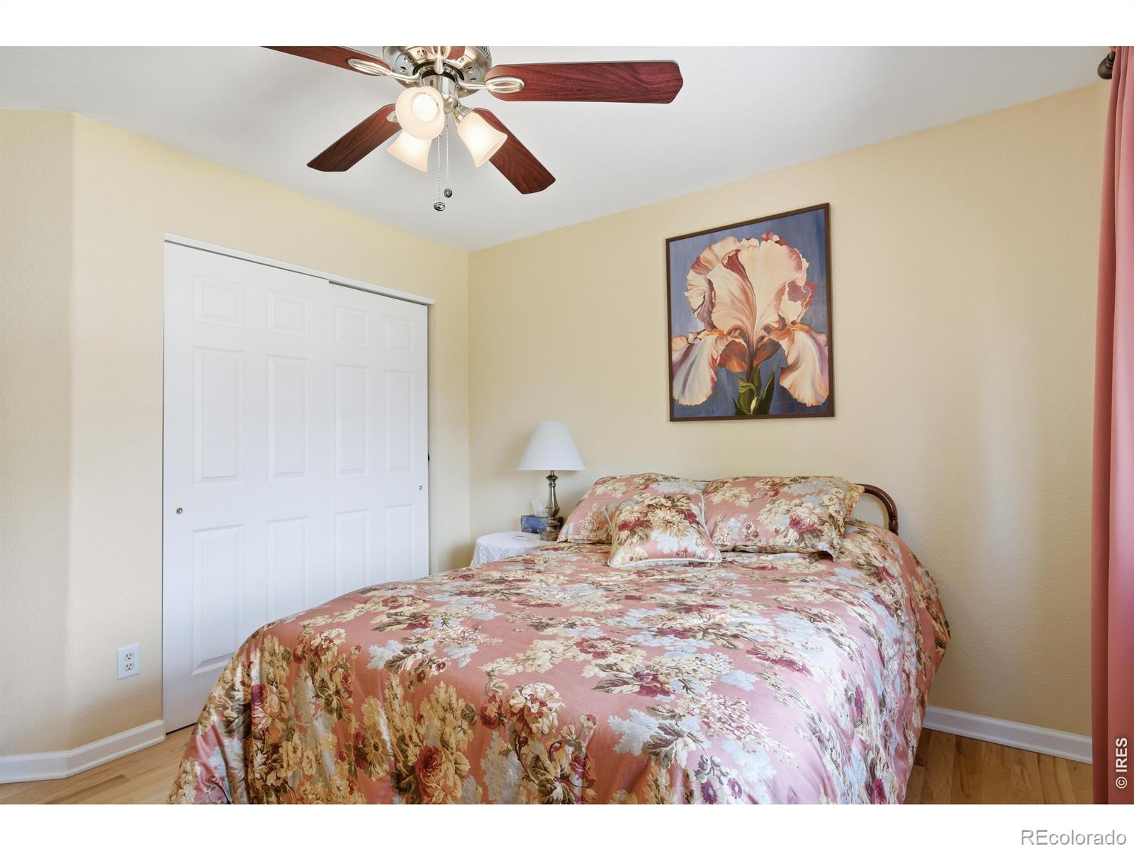 624 Foxtail Way Severance CO 80550