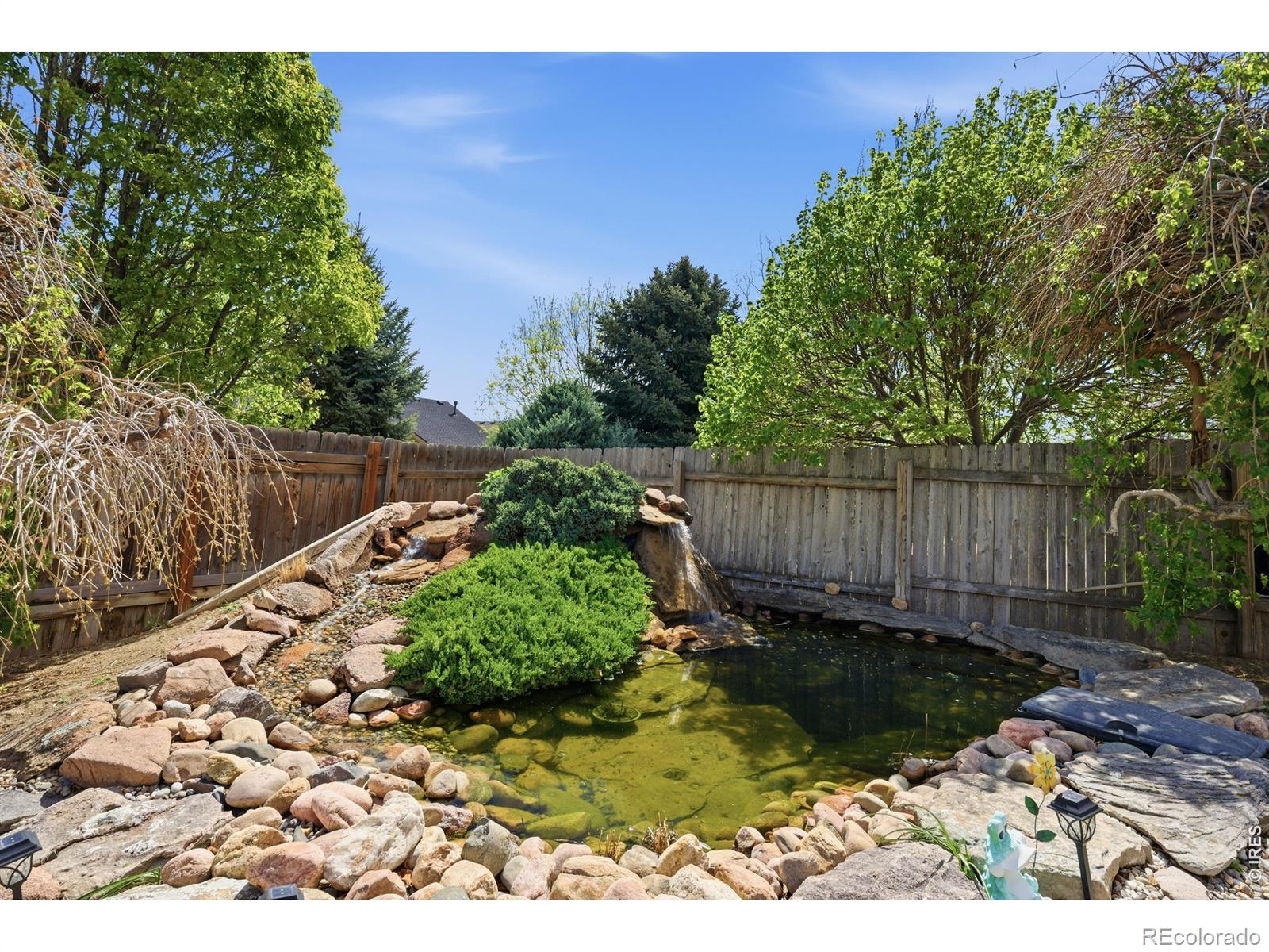 624 Foxtail Way Severance CO 80550