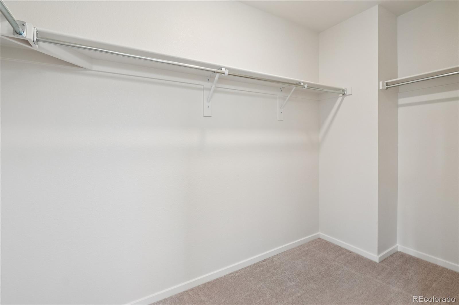 5672 Jedidiah Drive Timnath CO 80547