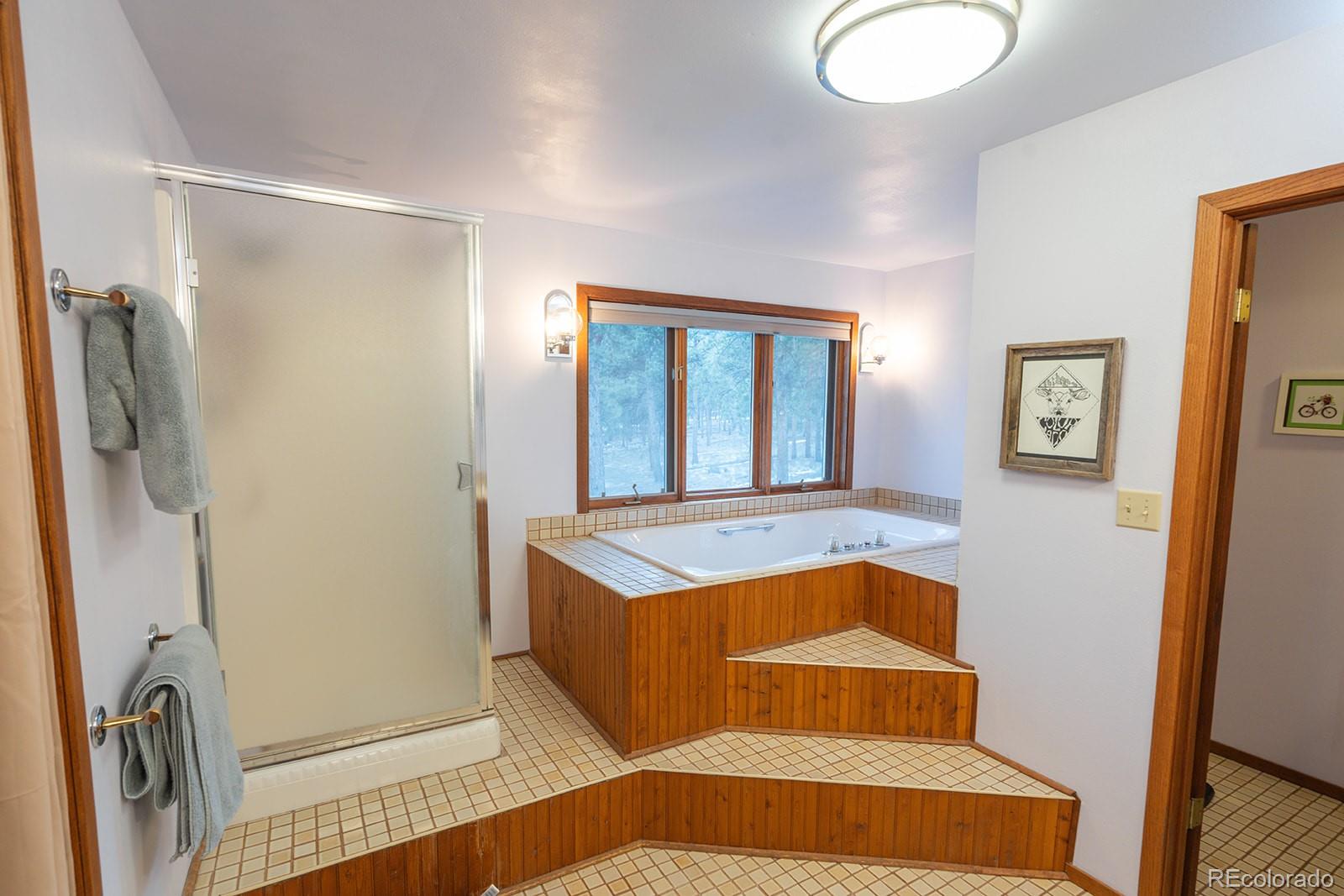 16670 Mount Princeton Road Buena Vista CO 81211
