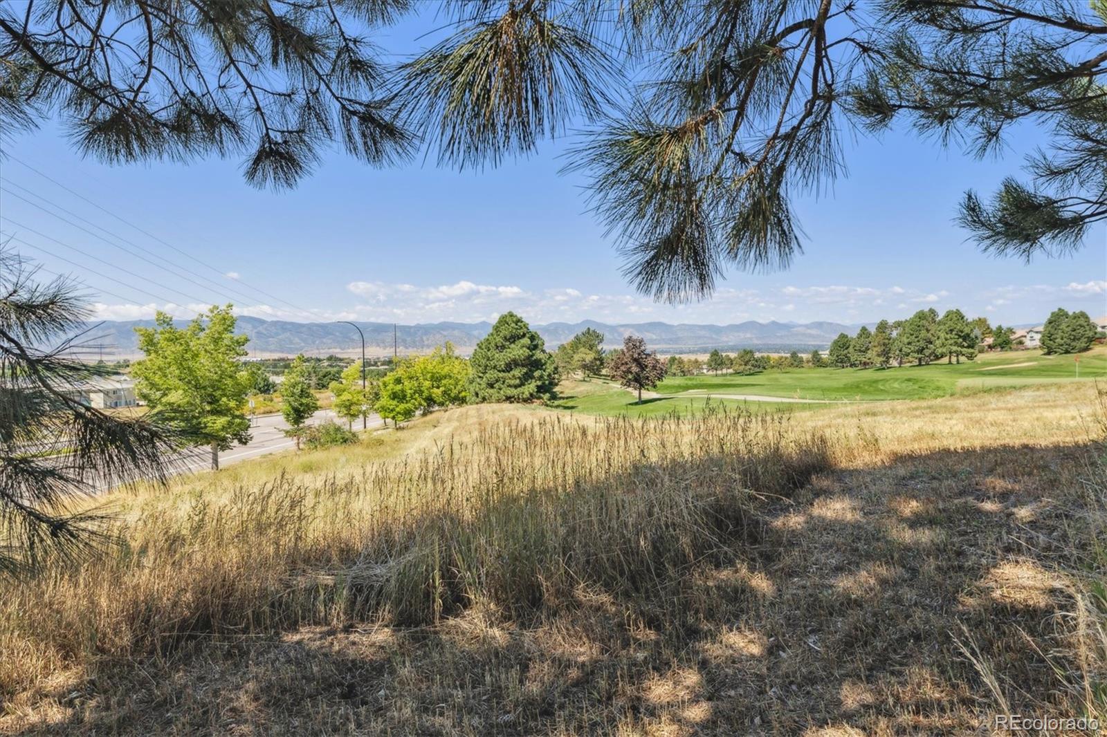 9073 Hunters Way Highlands Ranch CO 80129