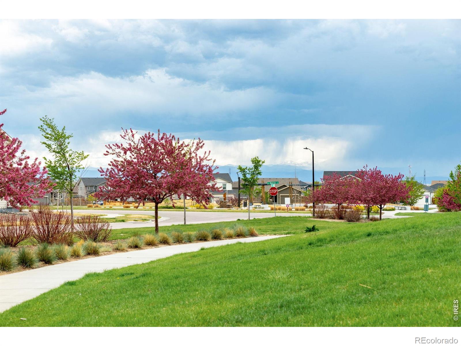 27890 E 7th Place Aurora CO 80018