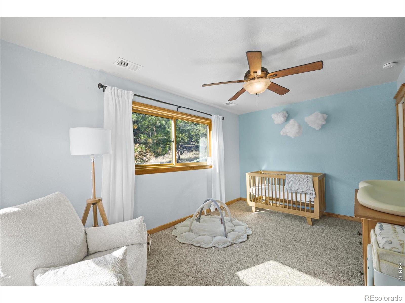 3665 Colard Lane Lyons CO 80540