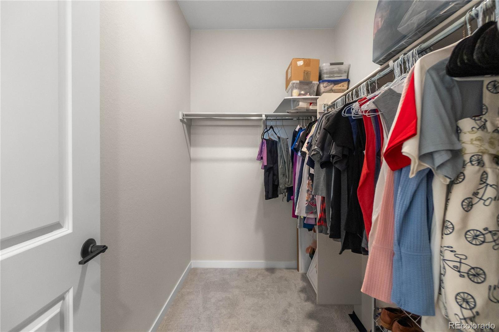 8484 Orchard City Drive Littleton CO 80125