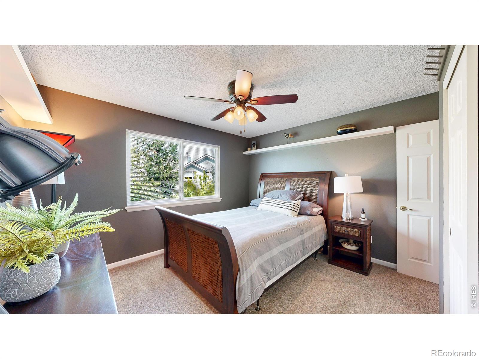 13045 Ash Street Thornton CO 80241
