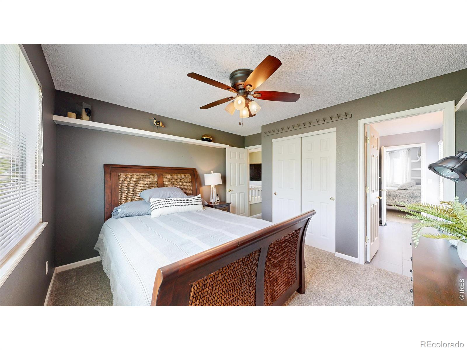13045 Ash Street Thornton CO 80241
