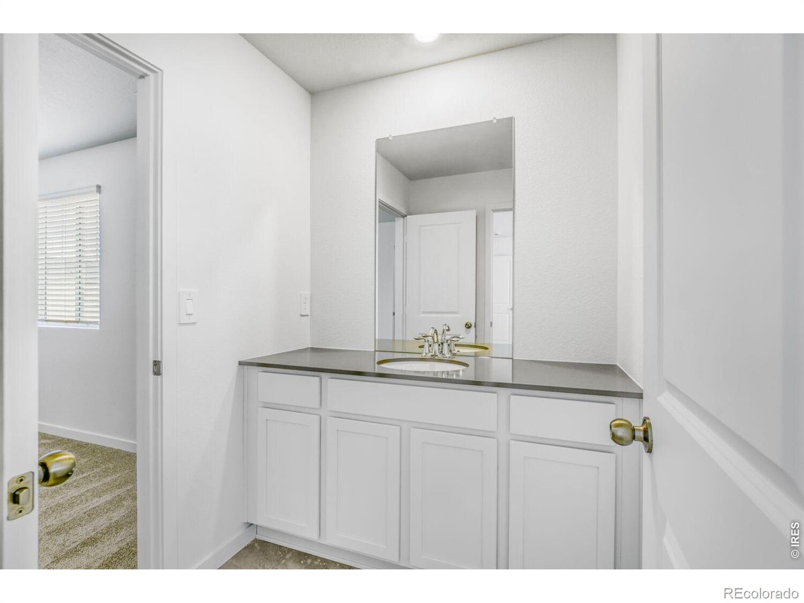 3005 Ironton Drive Loveland CO 80538