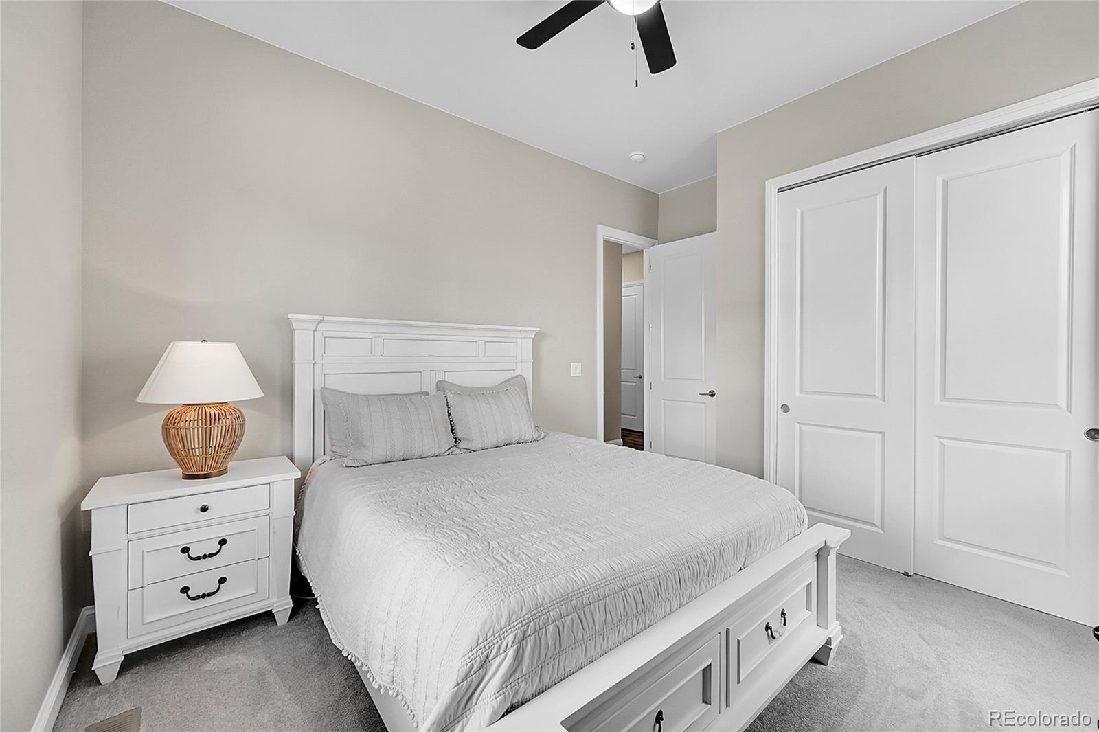 3303 Carabiner Street Castle Rock CO 80108