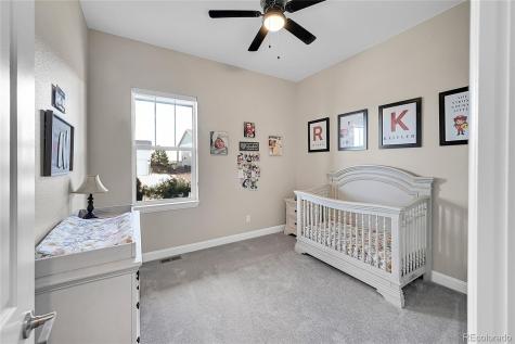 3303 Carabiner Street Castle Rock CO 80108