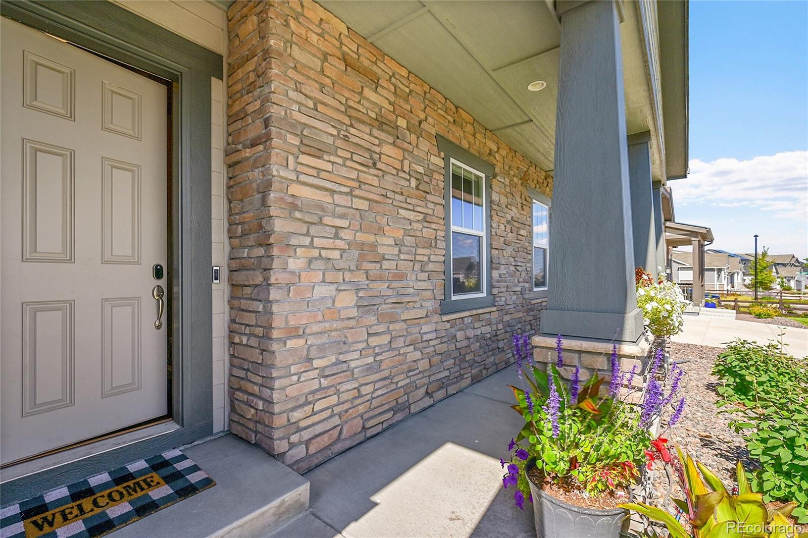 3303 Carabiner Street Castle Rock CO 80108