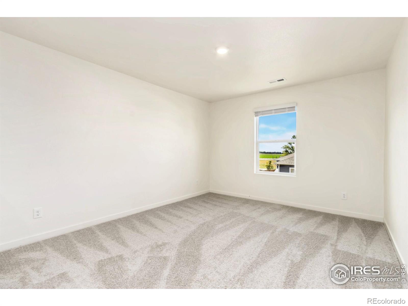 3713 Catmint Street Wellington CO 80549