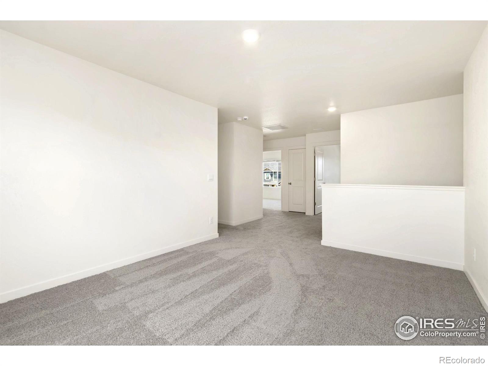 3713 Catmint Street Wellington CO 80549