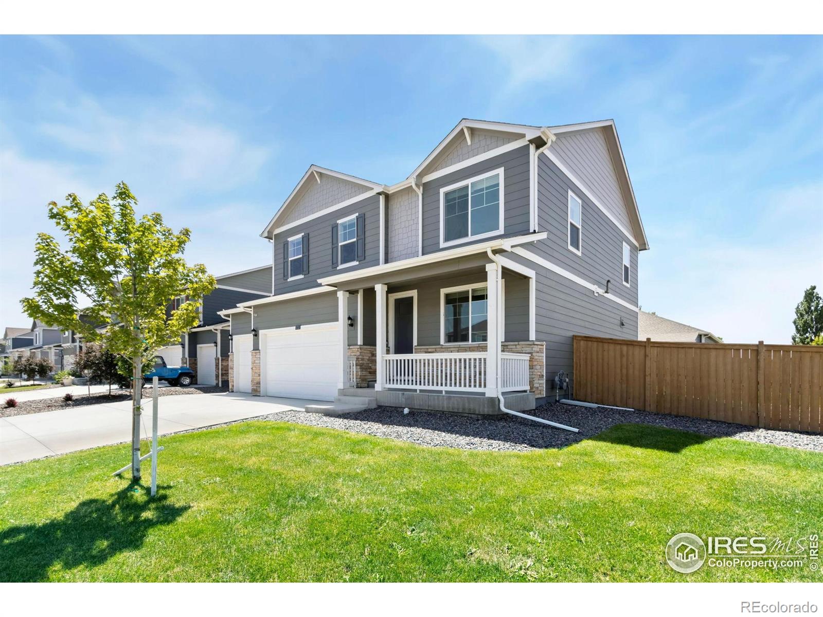 3713 Catmint Street Wellington CO 80549