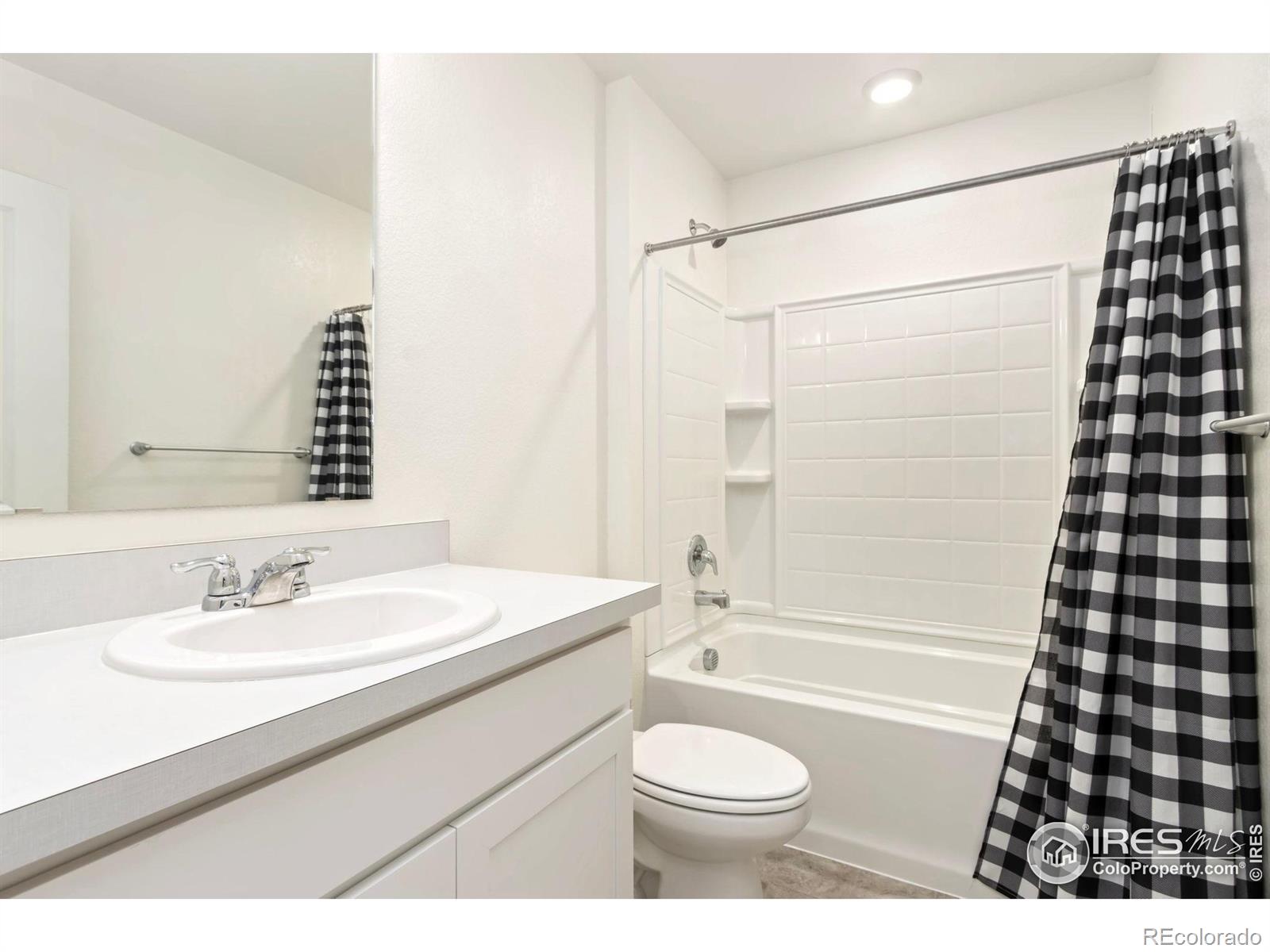 3713 Catmint Street Wellington CO 80549