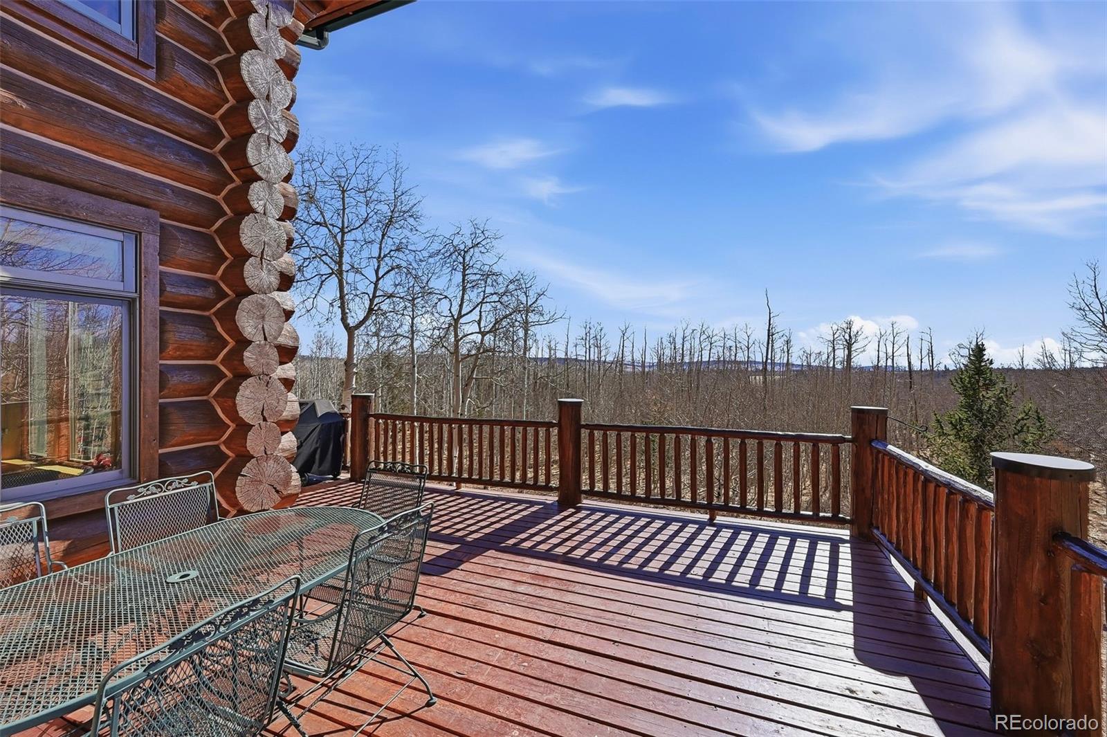 252 Iron Mountain Road Fairplay CO 80440