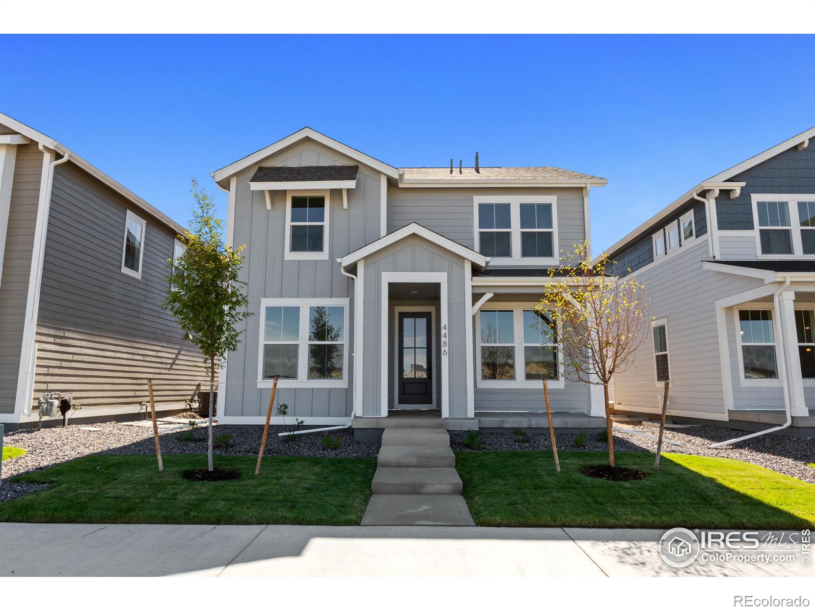 4486 Burl Street Timnath CO 80547