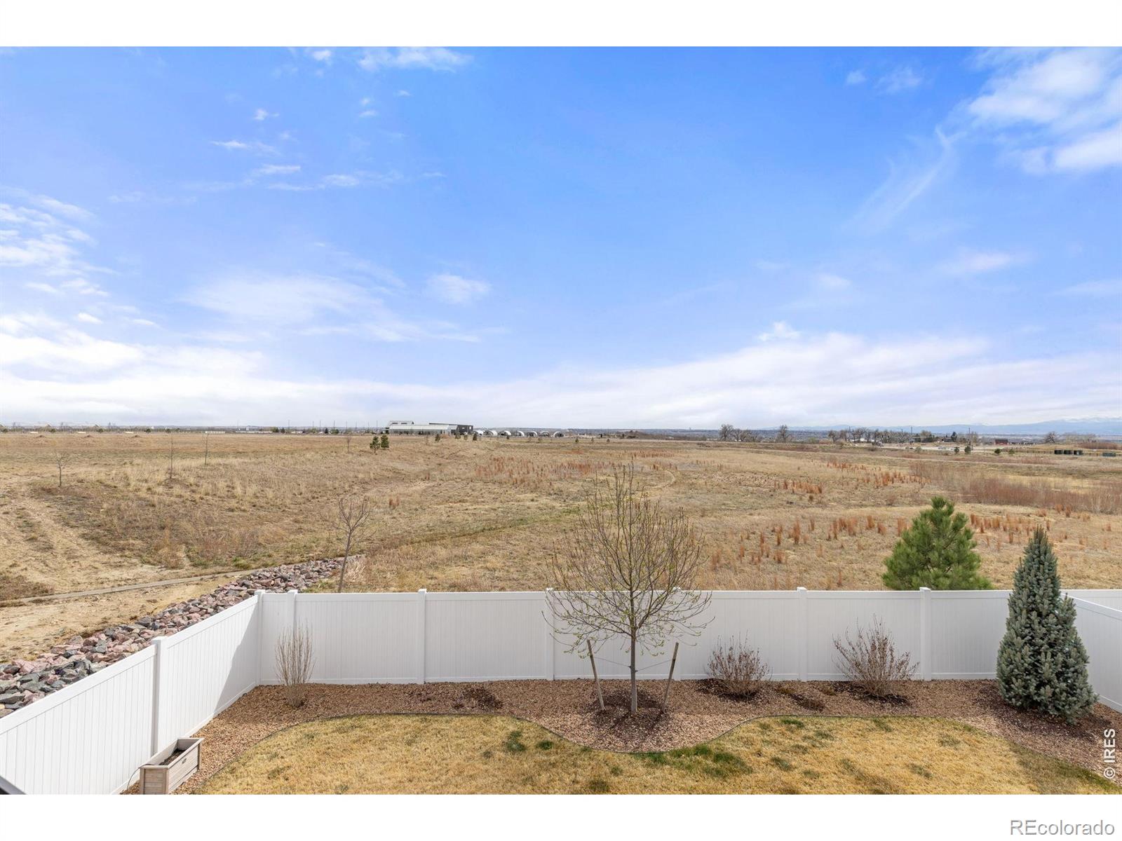 1853 Holloway Drive Windsor CO 80550