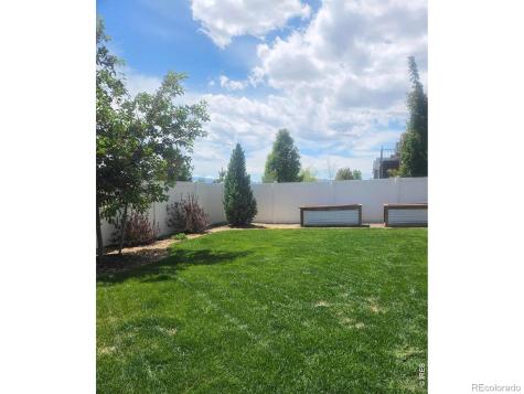 1853 Holloway Drive Windsor CO 80550