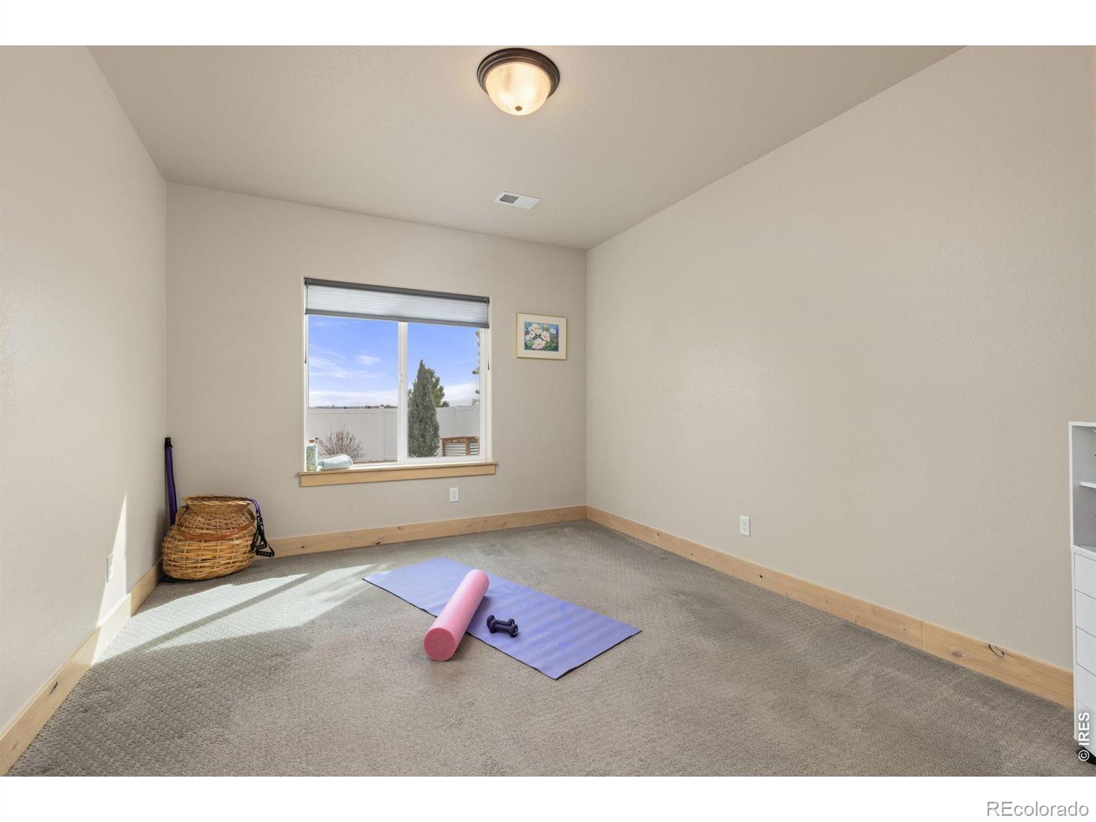 1853 Holloway Drive Windsor CO 80550