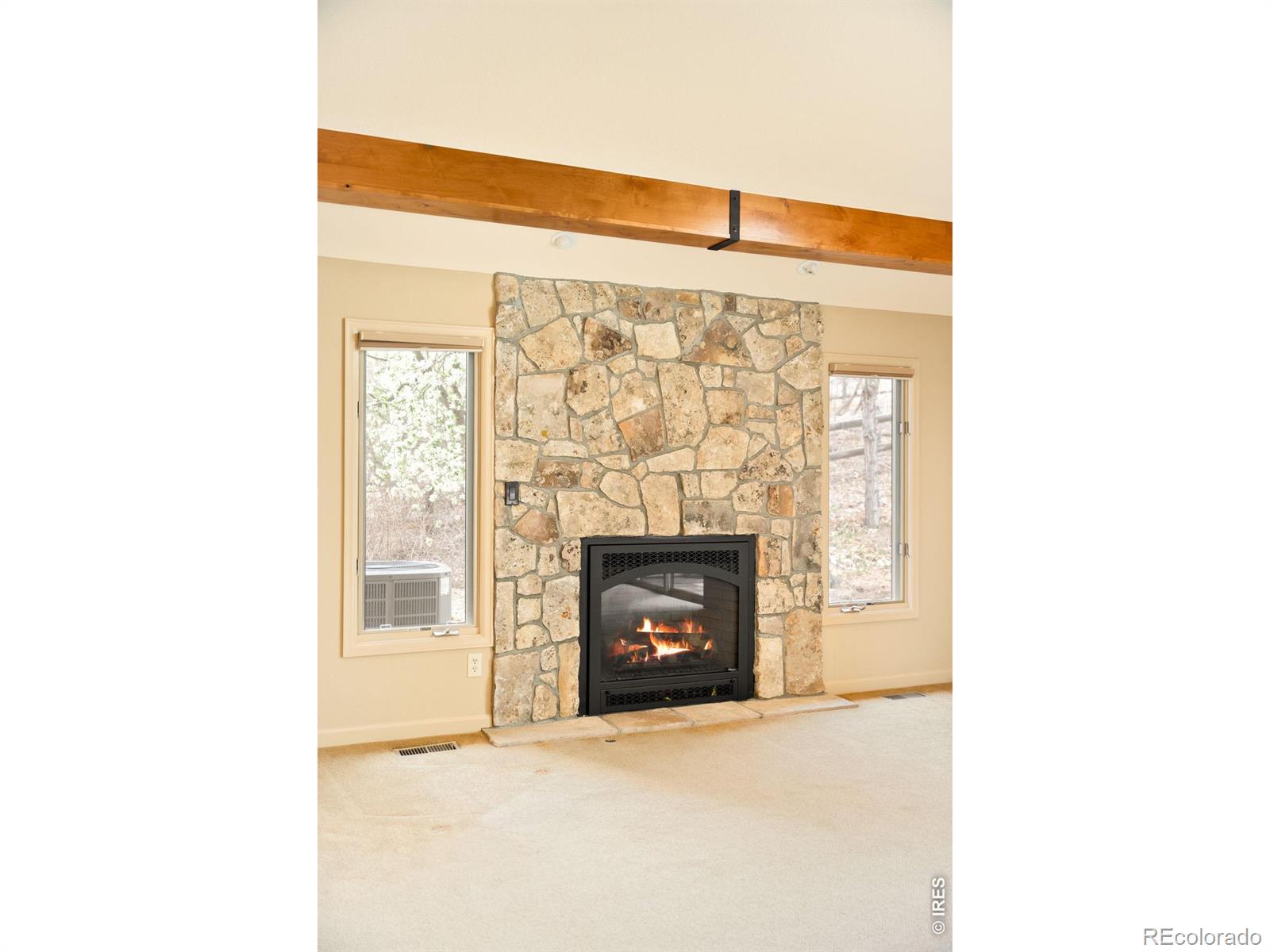 4677 Palmer Court Longmont CO 80503