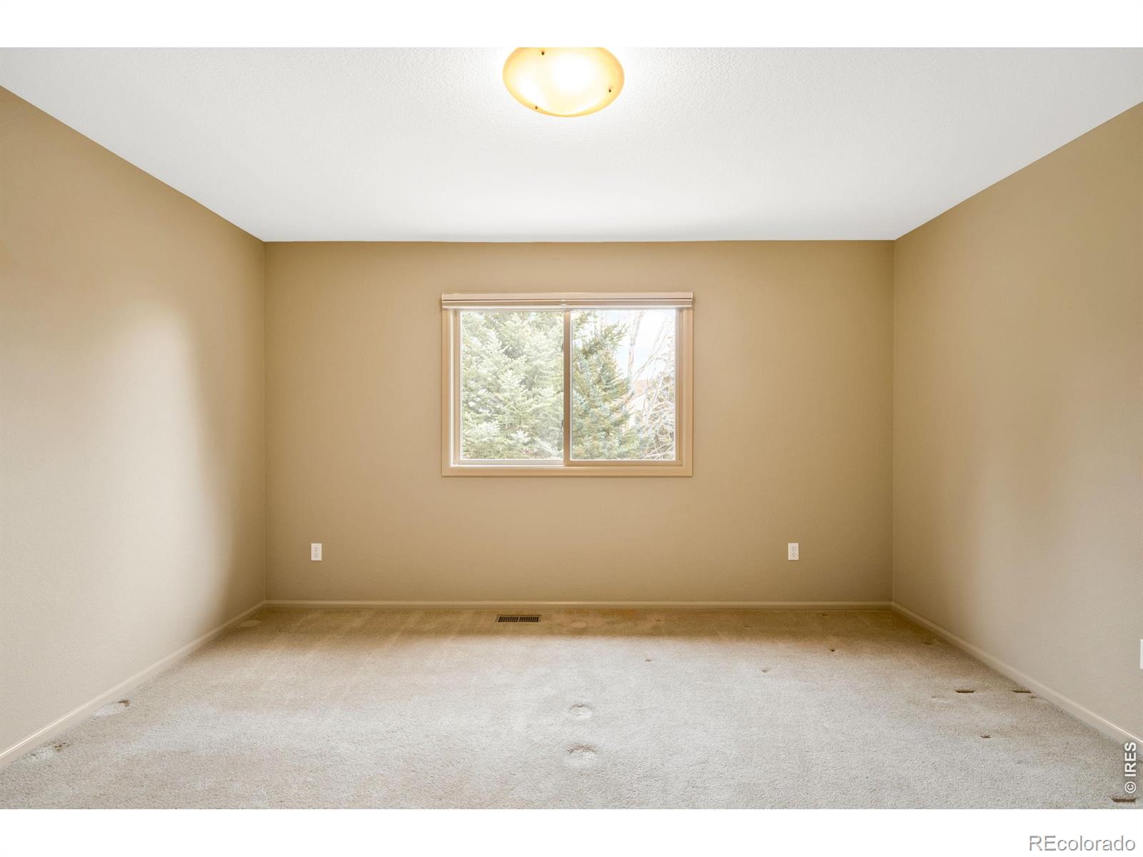 4677 Palmer Court Longmont CO 80503