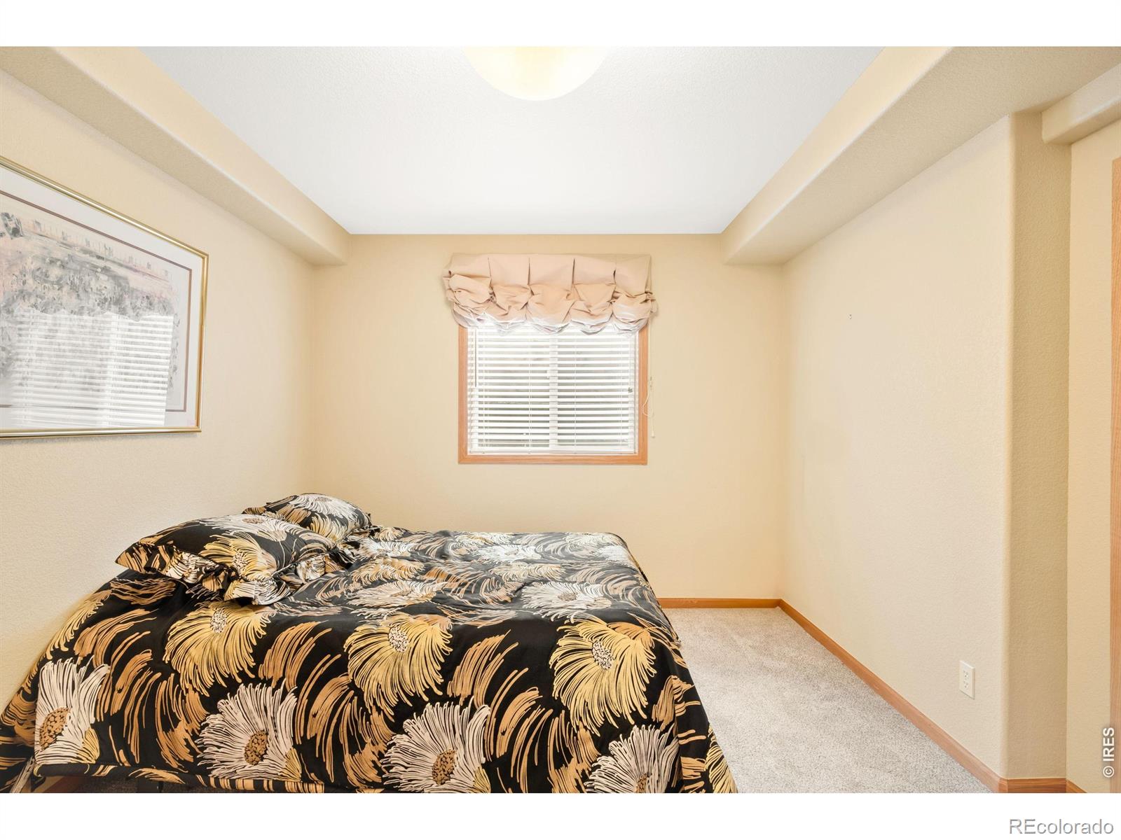 4677 Palmer Court Longmont CO 80503