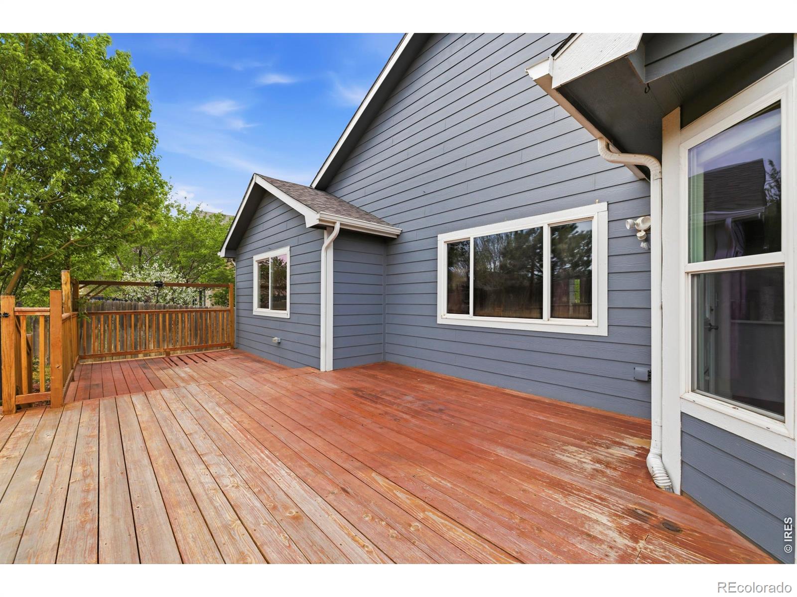 1524 Ponderosa Drive Severance CO 80550