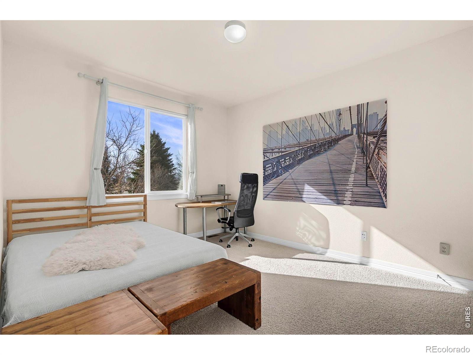 3242 Sedgwick Circle Loveland CO 80538