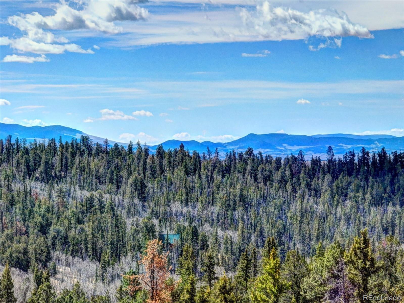 1479 Ouray Trail Como CO 80432
