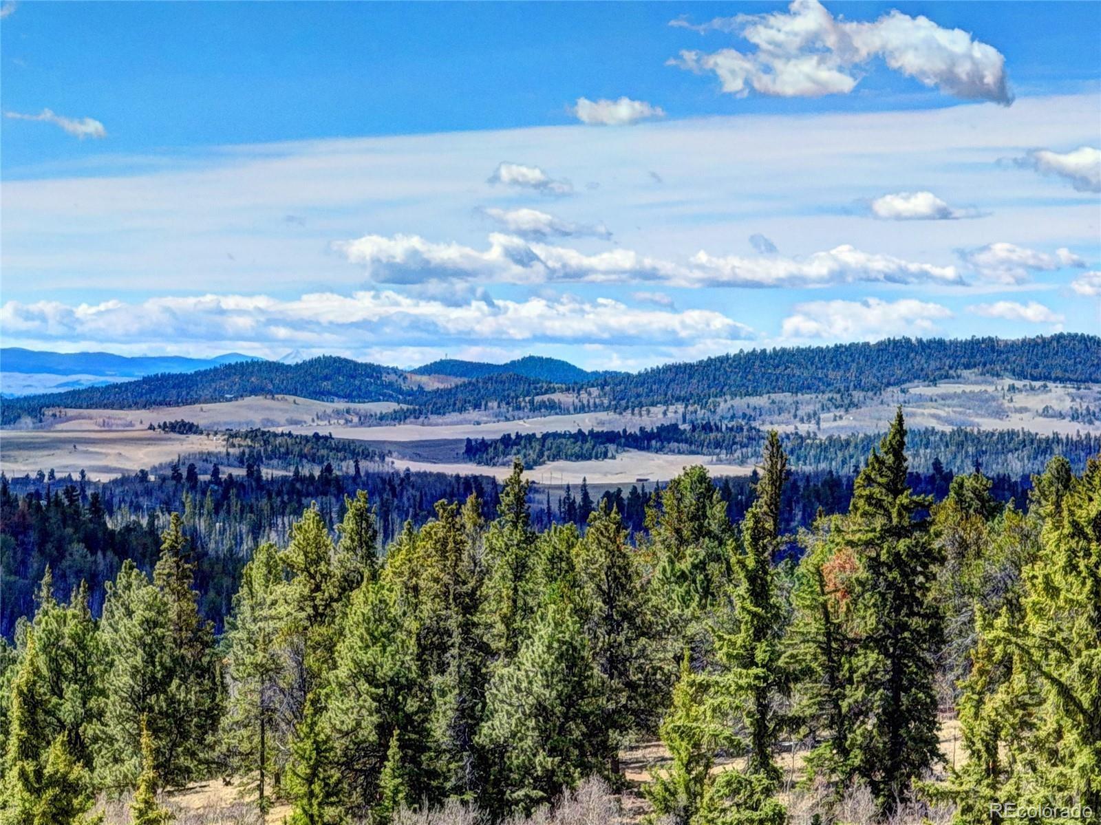 1479 Ouray Trail Como CO 80432