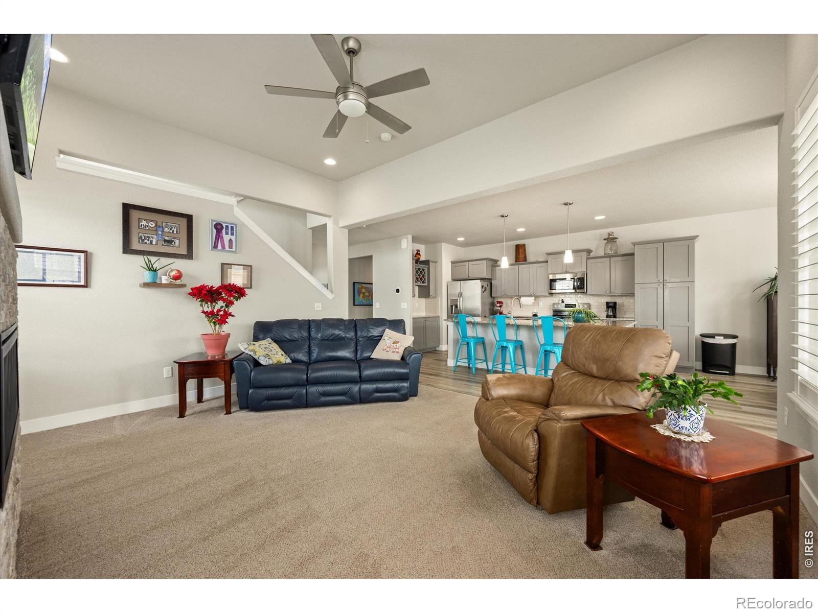 479 Mount Belford Drive Severance CO 80550