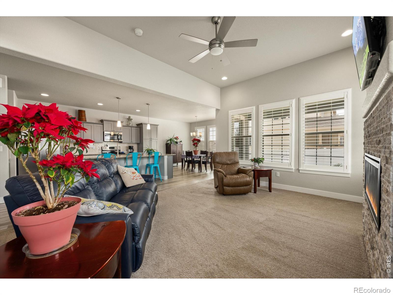 479 Mount Belford Drive Severance CO 80550