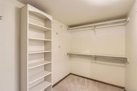 8159 Lodgepole Trail Lone Tree CO 80124