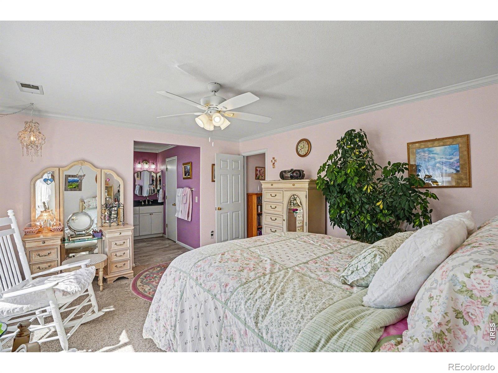5418 Suffolk Circle Castle Rock CO 80104