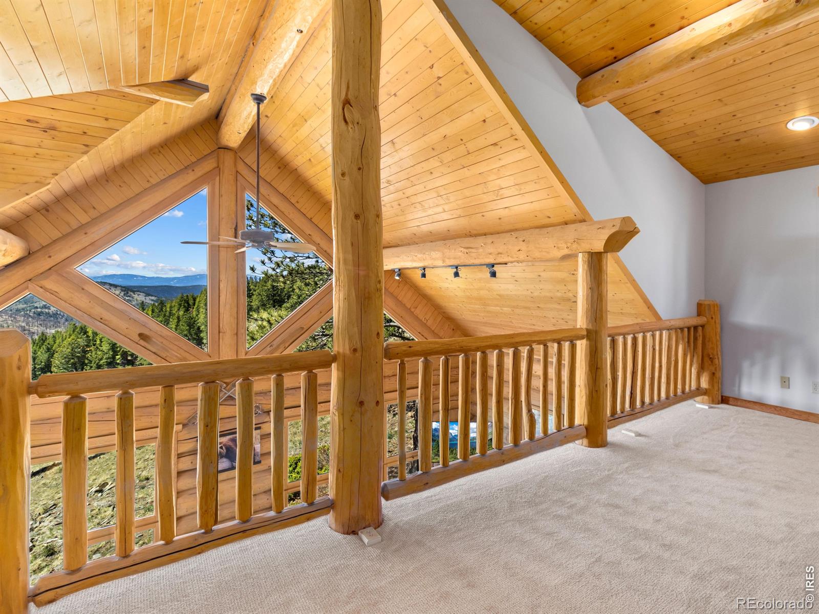 1398 Gold Lake Road Ward CO 80481